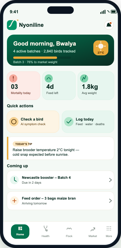 NyoniLine app preview with flock health, feed and daily farm tasks